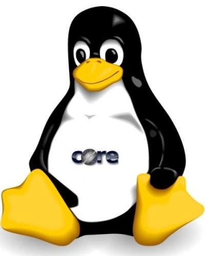 Tiny Core Linux 6.2 [x32/x64]
