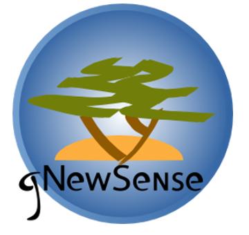gNewSense 4.0